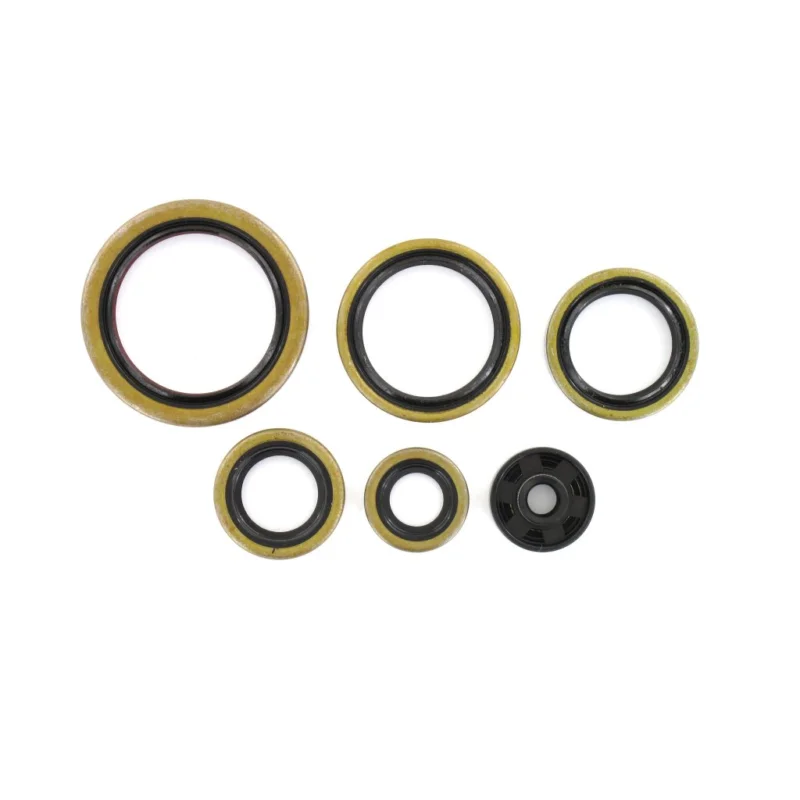 Begränsat antal Holeshot, Packboxsats Motor, KTM 00-03 250 EXC, 00-02 250 SX